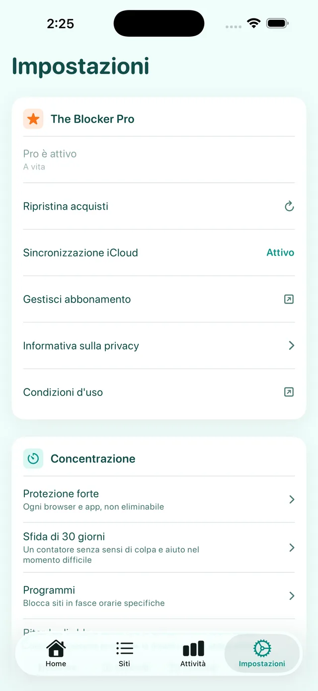 Schermata Impostazioni: The Blocker Pro, sincronizzazione iCloud, Protezione forte, la sfida di 30 giorni e i programmi